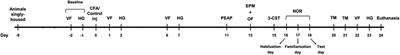 Characterization of pain-, anxiety-, and cognition-related behaviors in the complete Freund's adjuvant model of chronic inflammatory pain in Wistar–Kyoto rats